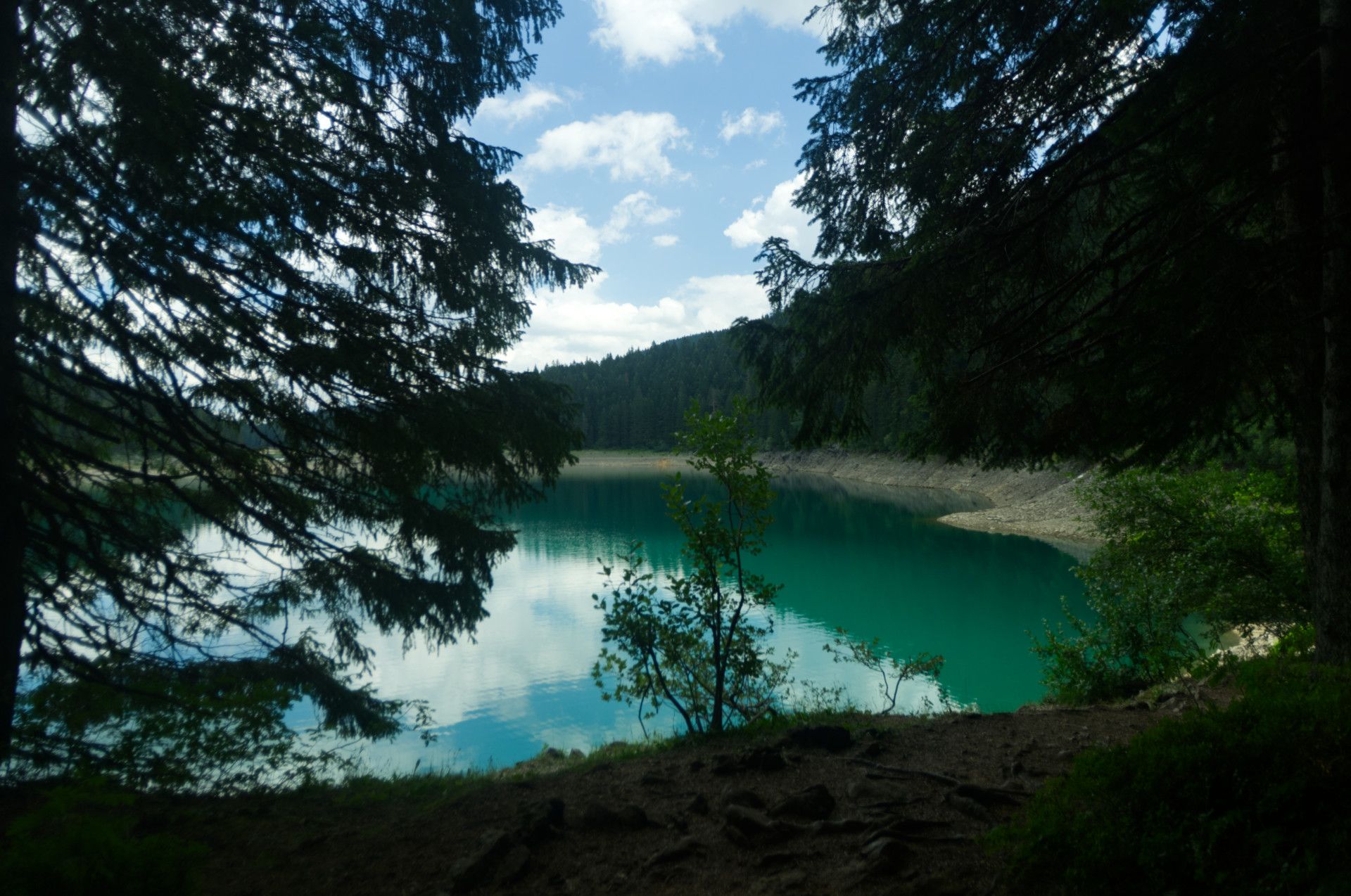 A photo of mountain in the background, sitting importantly over a grass field and forest
