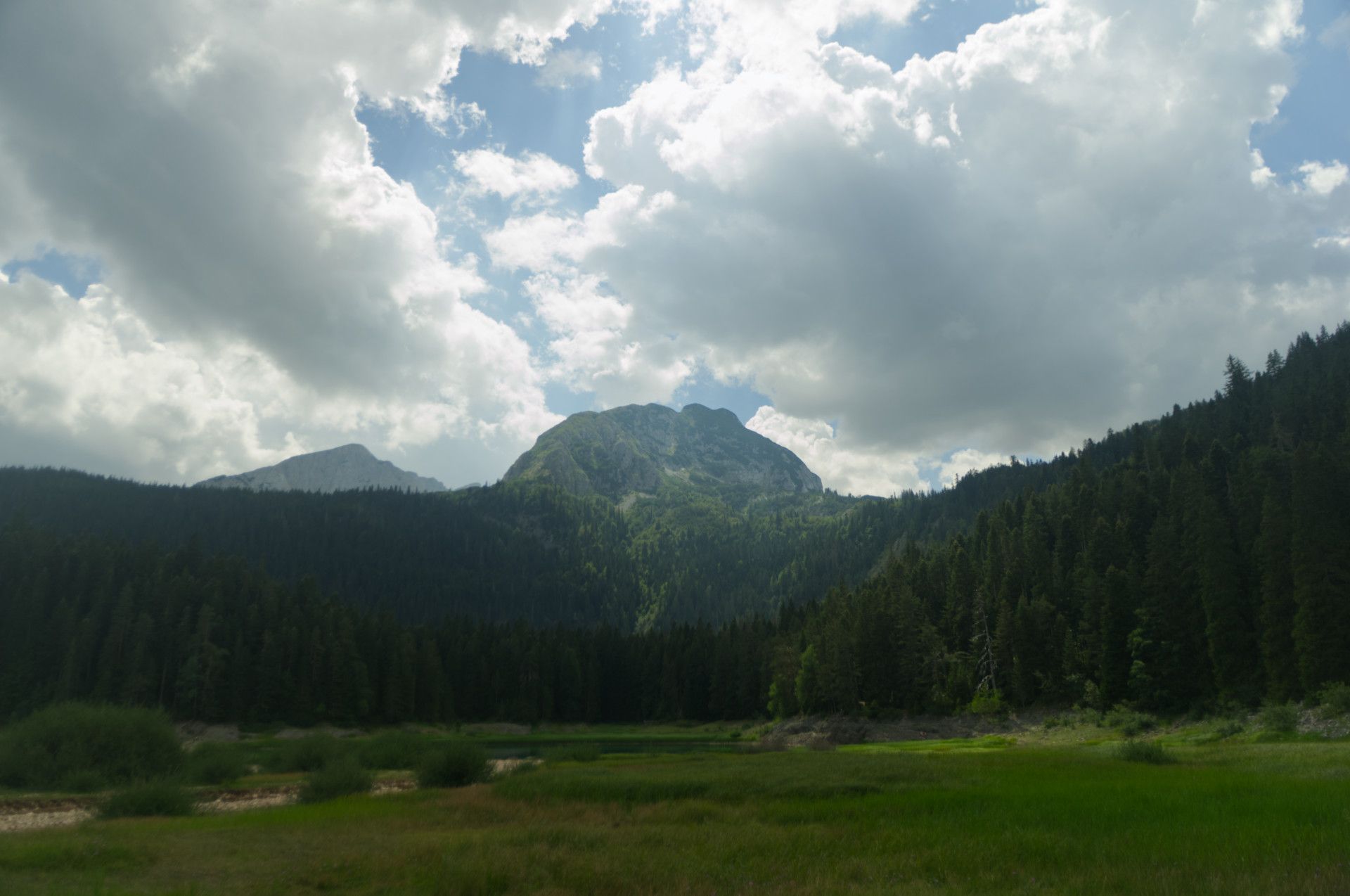 A photo of a lake through an opening in trees