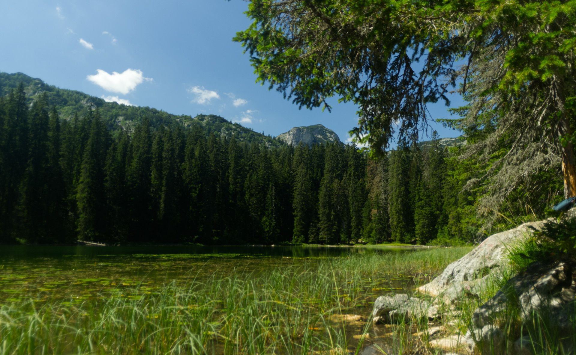 A photo of a lake surrounded by a forest with a peak in the background