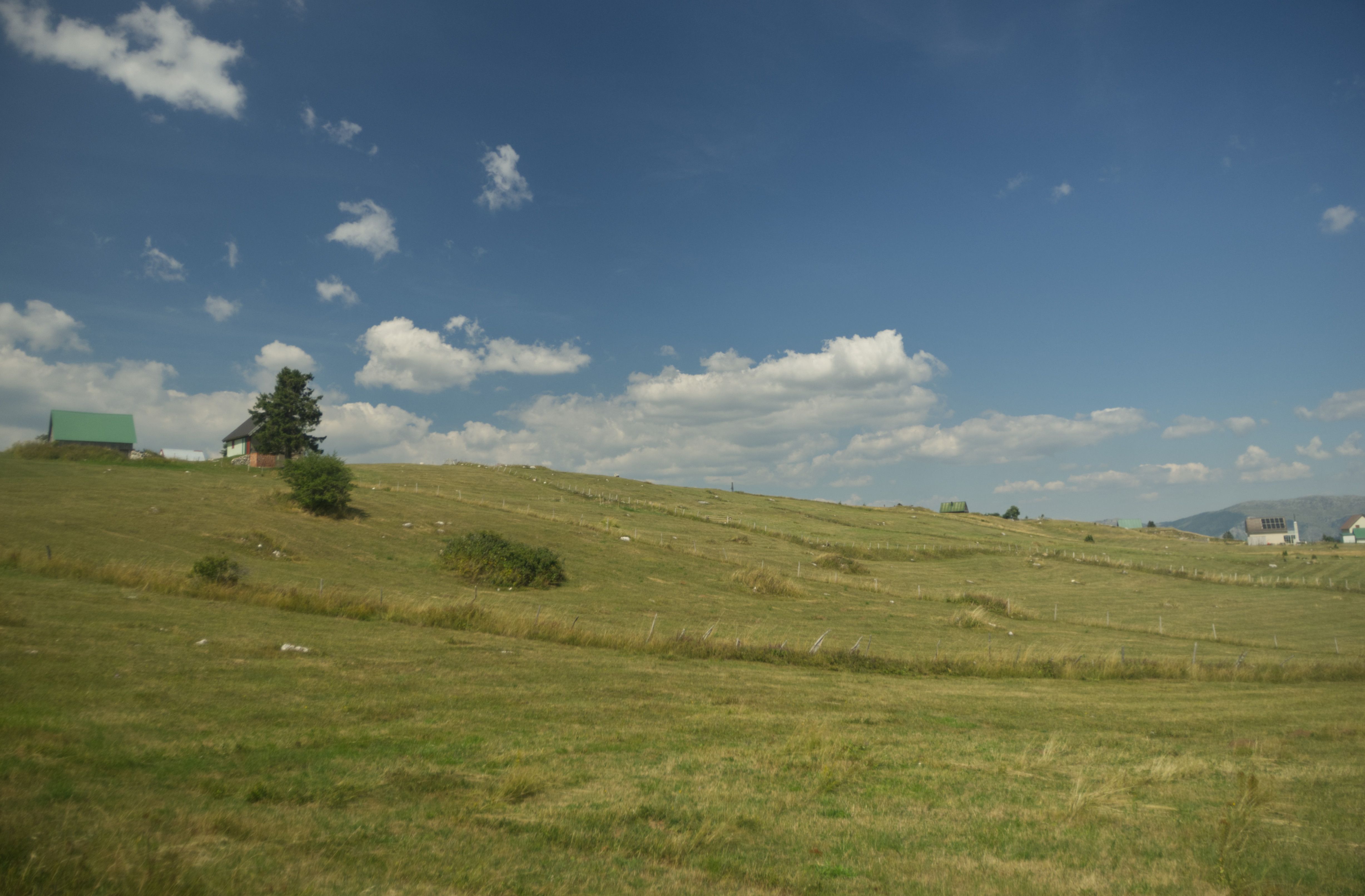 A photo of a yellowing grassy hill