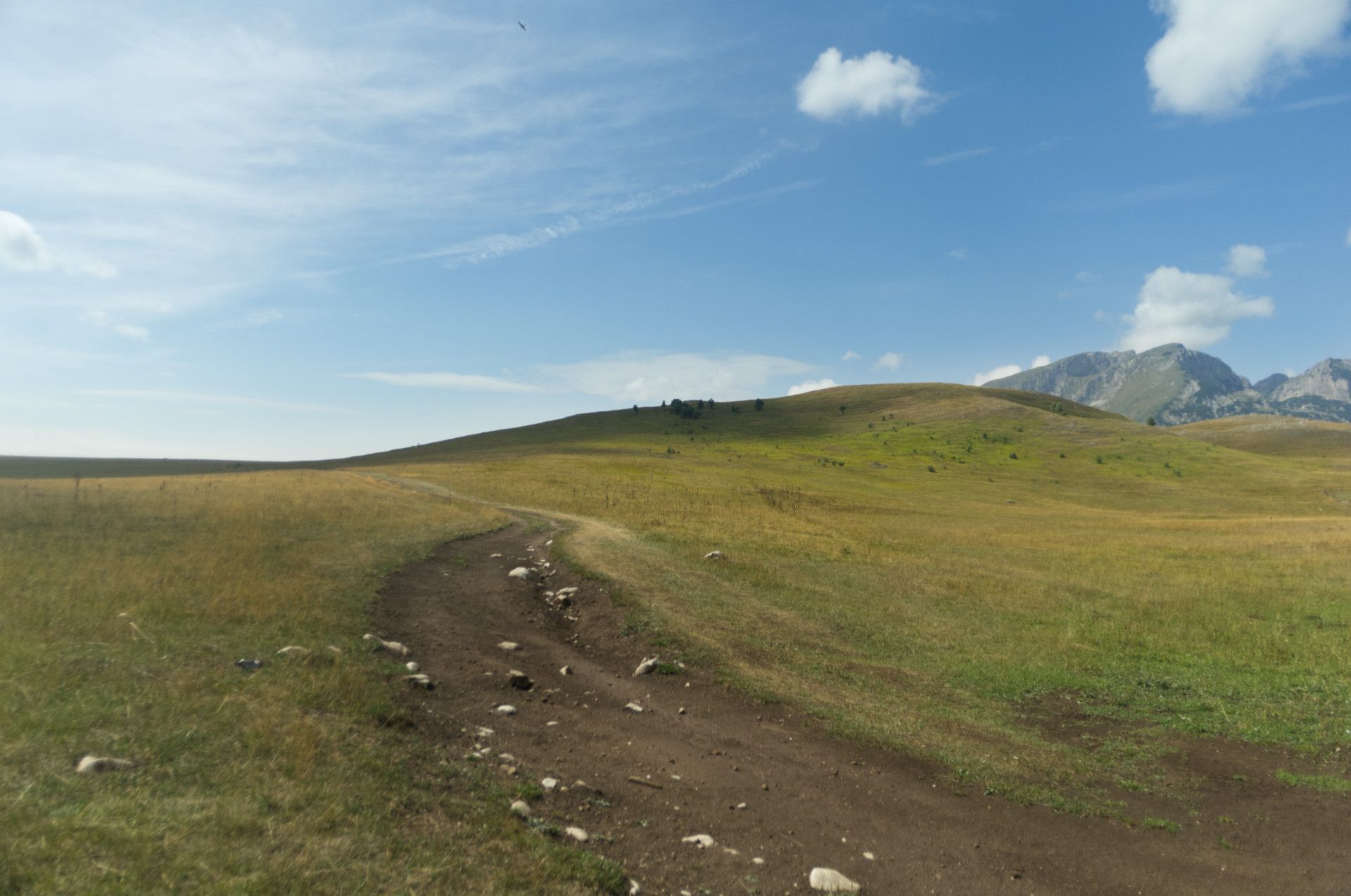 A photo of a dirt road going into the distance of a hilly field