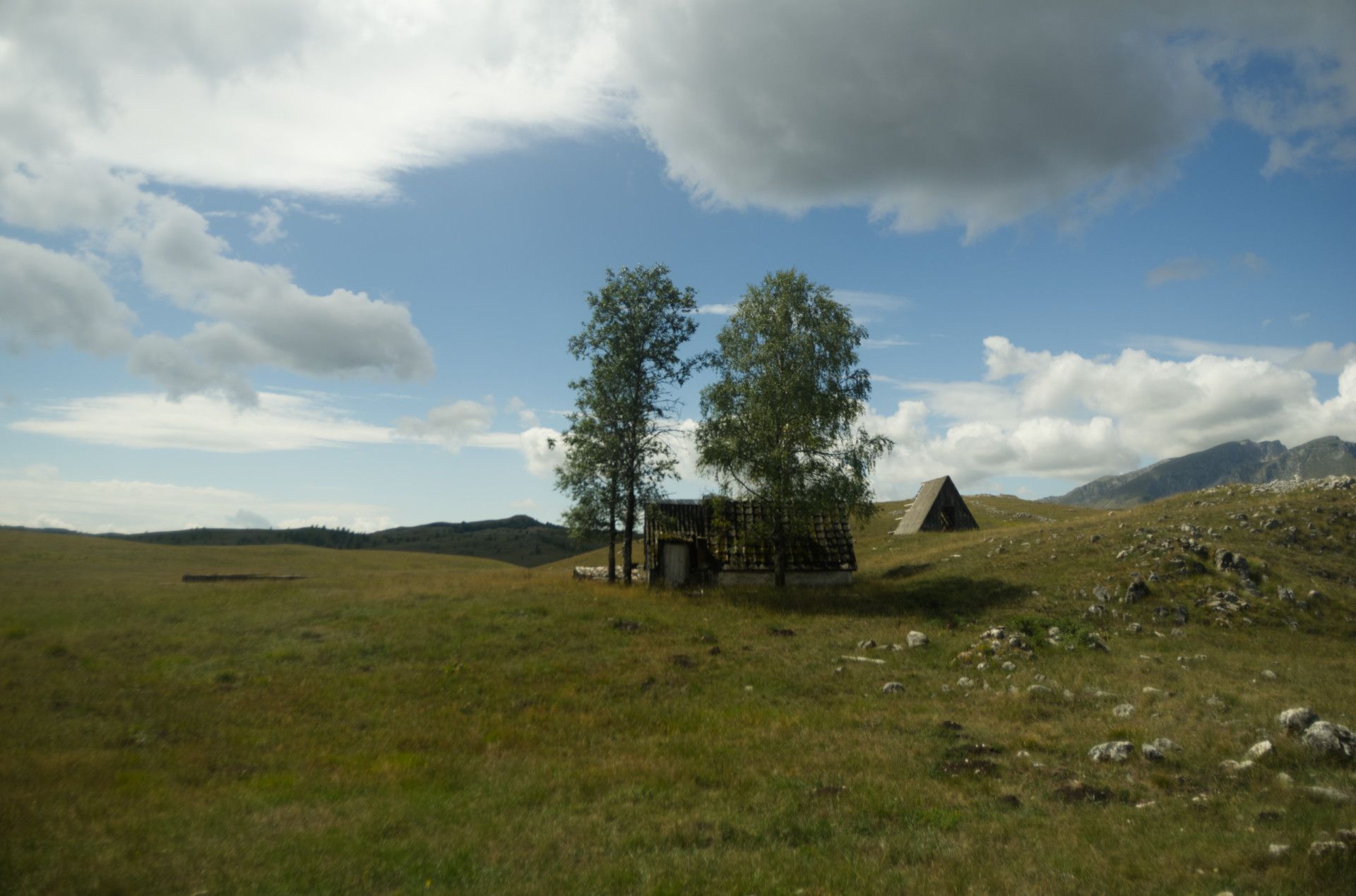 A photo of a lone dilapidated house standing next to a tree on an open hill, with another hut behind it