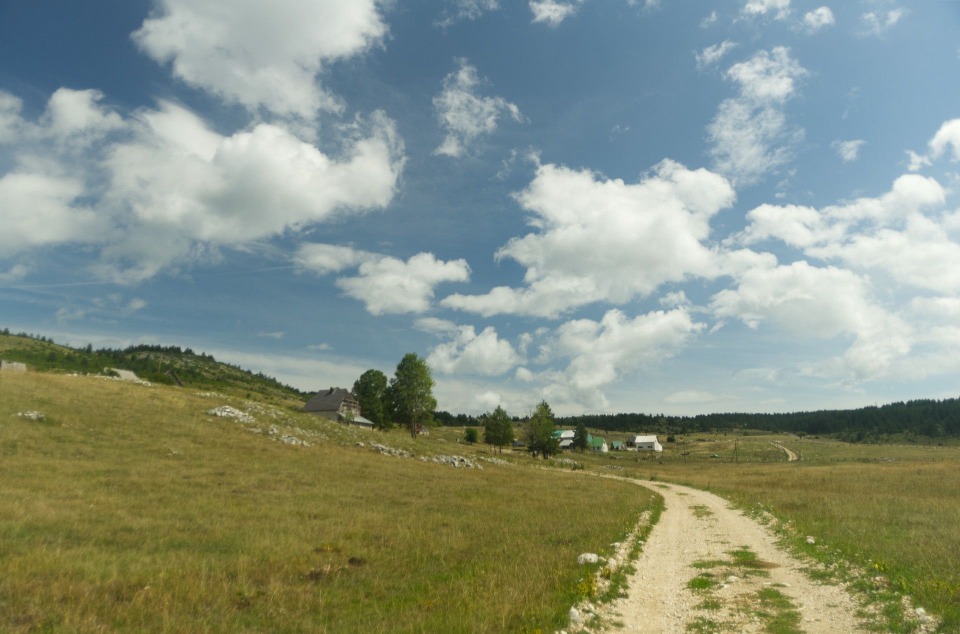 A photo of a few houses and trees standing on a yellow-green hill